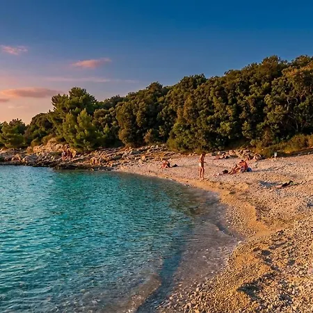 Modern With 2 Bedrooms Near Arena